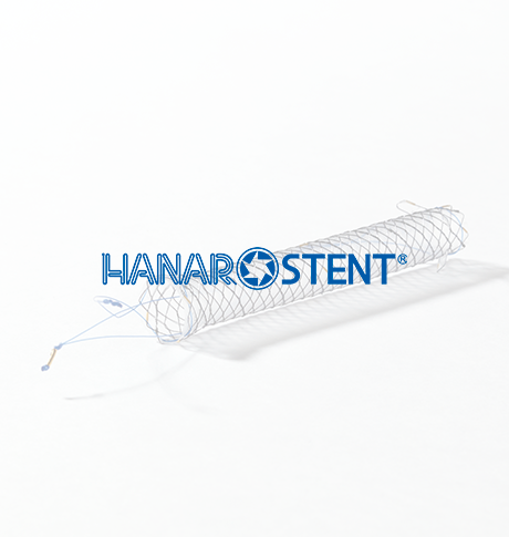 Hanaro Stent