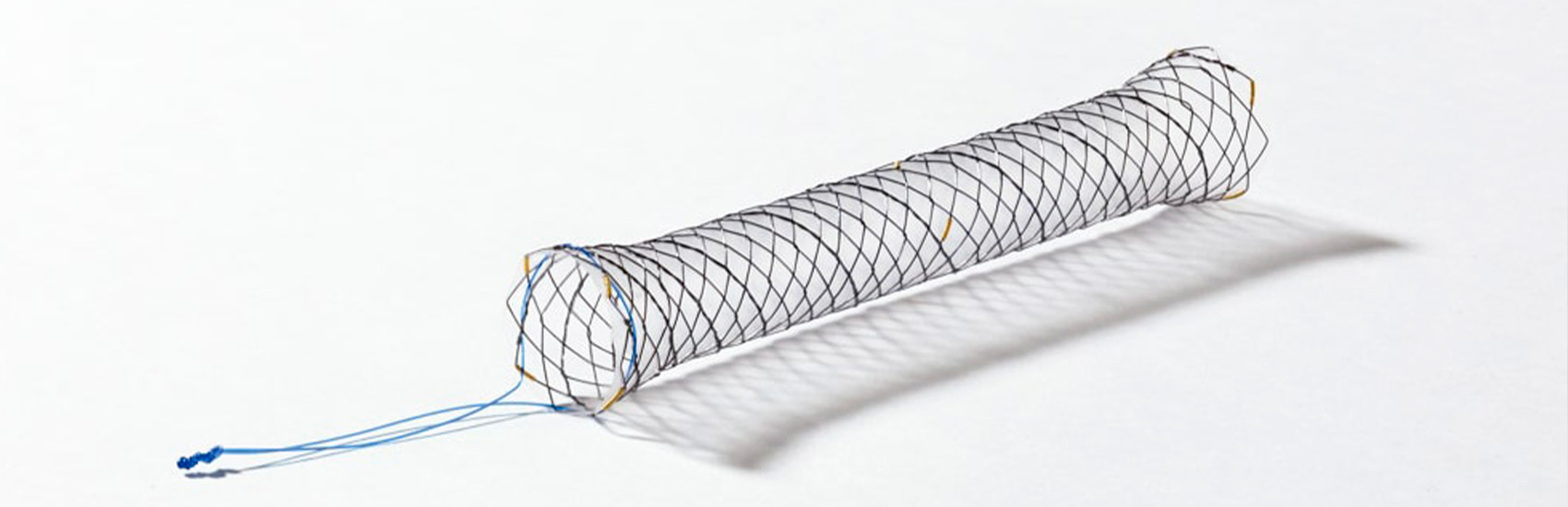 Stent Biliar STD TC C/ Laço SHCL | Endo RJ